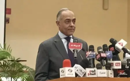 انتخابات مجلس الشيوخ.. المستشار أحمد بنداري: بدء عملية فرز الأصوات بـ13 مقرا انتخابيا