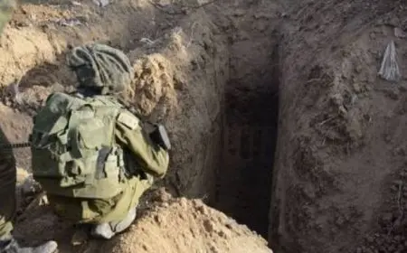 جيش الاحتلال يزعم: اعتقلنا مقاتلين شمال قطاع غزة