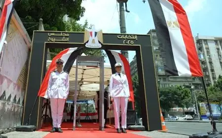 انتخابات مجلس الشيوخ 2025.. الداخلية تنهي استعداداتها باستنفار شامل وانتشار سريع وشرطة نسائية