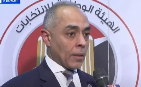 الهيئة الوطنية للانتخابات: عملية التصويت بانتخابات مجلس الشيوخ تسير جيدا دون أي معوقات