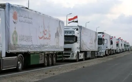 وزير الخارجية: على العالم إجبار إسرائيل على فتح معابرها الخمسة.. أعداد الشاحنات التي تدخل غزة هزيلة