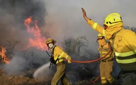 رجال الإطفاء يسيطرون على حرائق في جنوبى أوروبا وتركيا