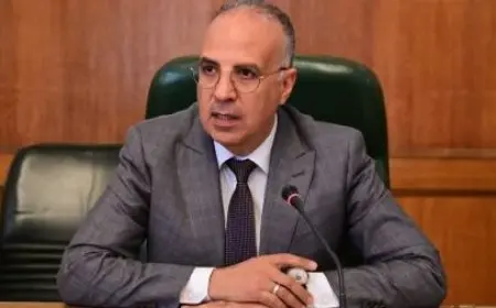 وزير الري: لا نستطيع زراعة كل احتياجاتنا من القمح.. لو امتلكنا مياه أوروبا لزرعنا الصحراء كلها