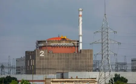 السيطرة على حريق قرب محطة زابوريجيا النووية في أوكرانيا