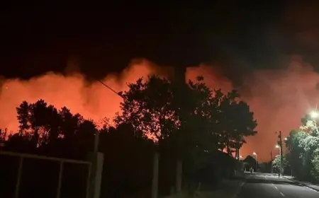 موجة حر تسفر عن 264 وفاة بالبرتغال وحرائق بإسبانيا