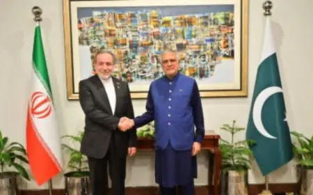 وزيرا خارجية إيران وباكستان يبحثان العلاقات الثنائية والتطورات الإقليمية