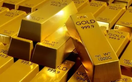 الارتفاع المتواصل لأسعار الذهب العالمي مرشح للاستمرار مدفوعا بالبنوك المركزية