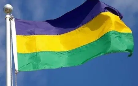 الجابون تطلب تأجيل قمة رؤساء دول سيماك المقررة في 9 أغسطس الجاري