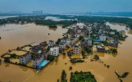 أستراليا: البحث عن امرأة جرفتها مياه الفيضانات
