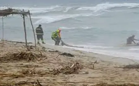 انتشال جثامين عدد من المهاجرين غرقوا قبالة سواحل اليمن