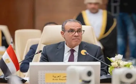 وزير الخارجية: لا مزايدة على دور مصر في دعم الفلسطينيين