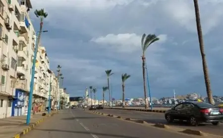 فيديو.. الأرصاد: أحوال جوية مستقرة حتى نهاية الأسبوع