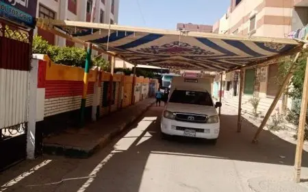 تعليم القاهرة: تجهيز 334 مدرسة بالمحافظة كلجان بانتخابات مجلس الشيوخ