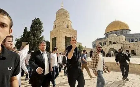 بن غفير يقود اقتحاما واسعًا للأقصى.. و”سجود ملحمي” لنائب بالكنيست – فيديو