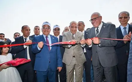 صُنع في مصر.. خط إنتاج جديد لأبراج الكهرباء يرفع القدرة الإنتاجية لـ30 ألف طن سنويا