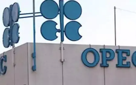 أوبك+ تقرر زيادة إنتاج النفط بـ547 ألف برميل يوميًا في سبتمبر
