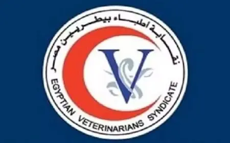 نقابة الأطباء البيطريين توضح موقفها من عمومية اتحاد المهن الطبية.. وتدعو للوحدة