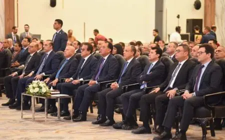 وزير الخارجية خلال مؤتمر المصريين بالخارج: نحرص على التنسيق الوثيق والمباشر مع المصريين بالخارج للاستماع إلى مقترحاتهم