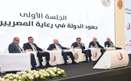 وزير الخارجية يشارك في الجلسة الأولى لمؤتمر المصريين في الخارج (صور)