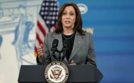 بوليتيكو: الديمقراطيون لا يريدون ترشح هاريس للانتخابات