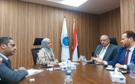 الضرائب: الفواتير الوهمية يتم اكتشافها وحظر الشركات المخالفة فورًا