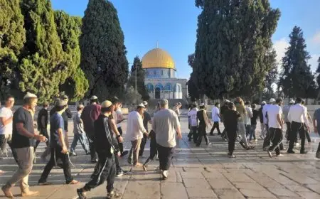 27 اقتحاما للأقصى ومنع رفع الأذان في الحرم الإبراهيمي 51 وقتا الشهر الماضي