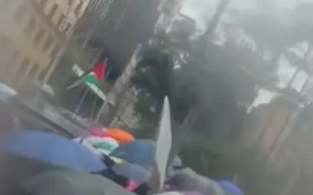 فيديو.. برلماني إيطالي: مجزرة غزة تُظهر إمعان إسرائيل في سياسة الإبادة