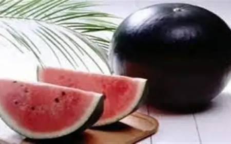 قبل ما تشتري.. 5 علامات تضمن لك بطيخة حمراء