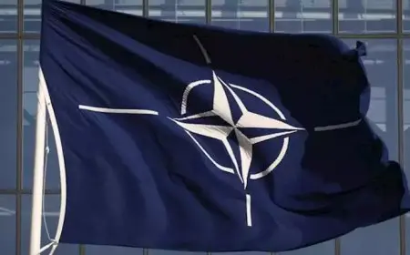 الناتو يدرس نشر فيلق ألماني هولندي جديد في إستونيا