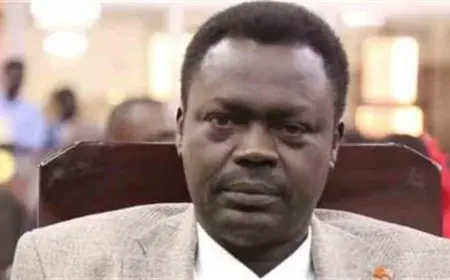 حاكم دارفور: لن يتم تقسيم السودان بالطريقة التي تريدها الدعم السريع