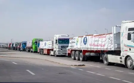 إندونيسيا تعتزم إرسال 10 آلاف طن من المساعدات الغذائية إلى فلسطين