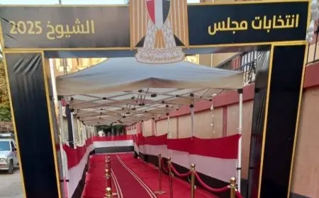 وفد من البرلمان العربي يتابع انتخابات مجلس الشيوخ