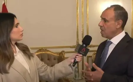 وزير الخارجية: الدولة تضع مصالح المصريين بالخارج على رأس أولوياتها