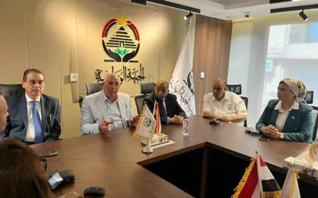 قيادات حزب الجبهة الوطنية يتابعون الاستعدادات التنظيمية لانتخابات مجلس الشيوخ ويتفقدون غرفة العمليات المركزية