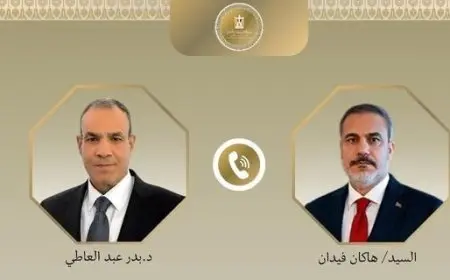 مصر وتركيا تؤكدان أهمية العمل على مواجهة الكارثة الإنسانية بغزة