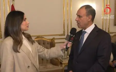 وزير الخارجية: من يزايد على دور مصر بشأن غزة يخفف الضغوط عن إسرائيل
