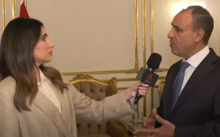 وزير الخارجية: الرئيس السيسي يقود سياسة نشطة.. ومصر تواصل جهودها لدعم القضية الفلسطينية
