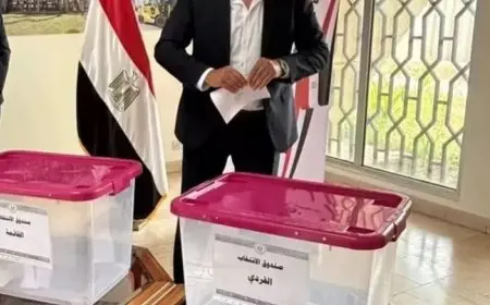 التنمية المحلية: اتخاذ كل الإجراءات اللازمة لضمان سهولة انتخابات مجلس الشيوخ