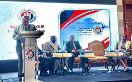 رئيس بعثة الجامعة العربية يشارك في برنامج المتابعة الدولية لانتخابات مجلس الشيوخ