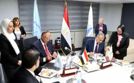 بروتوكول البيانات من أجل الحقوق بين القومي لحقوق الإنسان والإحصاء لدعم الفئات الأولى بالرعاية