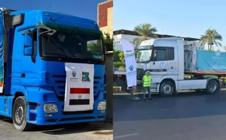قافلة التحالف الوطني تصل معبر رفح بـ200 شاحنة مساعدات لأهالي غزة
