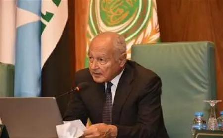 أبو الغيط يشيد بمواقف فيتنام الداعمة باستمرار للقضية الفلسطينية