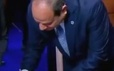 فيديو.. الرئيس السيسي يدلي بصوته في انتخابات مجلس الشيوخ 2025