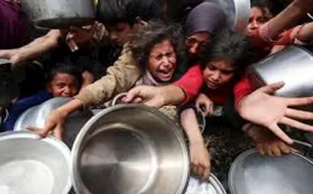 المدعي العام الأسترالي السابق: الأدلة على الإبادة الجماعية بغزة كثيرة