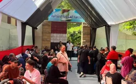 حضور نسائي لافت في انتخابات الشيوخ 2025 بمنطقة إمبابة