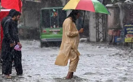 مصرع وإصابة أكثر من 1015 شخصًا جراء الأمطار في باكستان