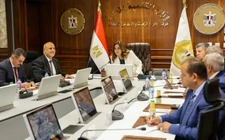 انتخابات مجلس الشيوخ.. التنمية المحلية: توفير مصادر بديلة للكهرباء في حالة الطوارئ