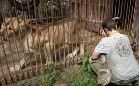 حديقة حيوان دنماركية تدعو للتبرع بالحيوانات الأليفة لإطعام الحيوانات المفترسة