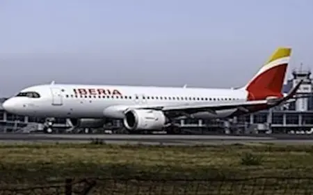 حادثة مثيرة.. طائر ضخم يجبر طائرة على العودة إلى المطار بعد إقلاعها