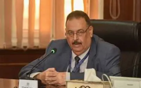 رئيس لجنة جامعة الدول العربية لمتابعة انتخابات الشيوخ لـ«الشروق»: التنظيم والاستعداد على أعلى مستوى